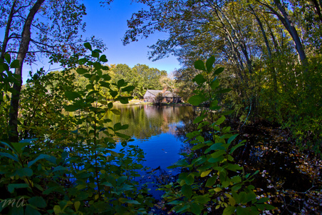 Enlarge photo 203