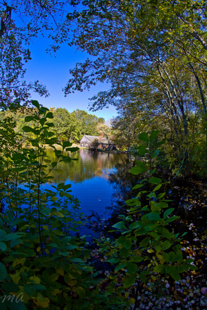 Enlarge photo 204