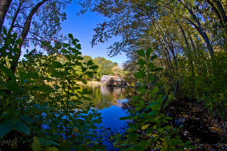Enlarge photo 205