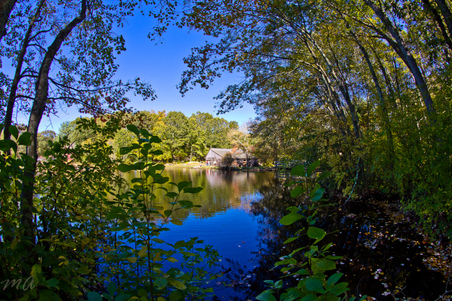 Enlarge photo 206