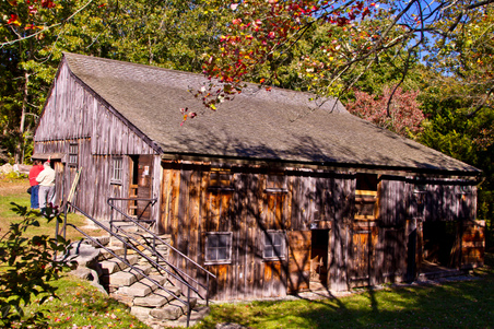 Enlarge photo 225