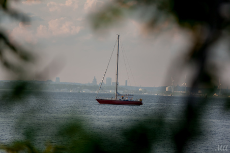 Enlarge photo 10