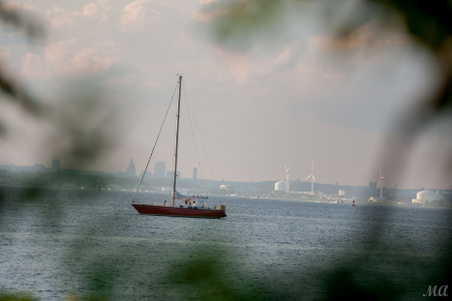 Enlarge photo 12