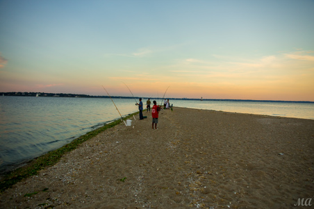 Enlarge photo 35