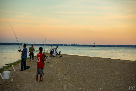 Enlarge photo 37