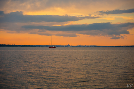 Enlarge photo 48