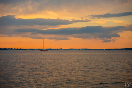 Enlarge photo 49