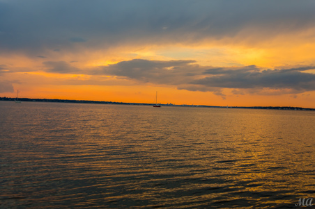 Enlarge photo 69