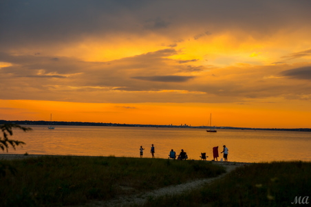 Enlarge photo 80
