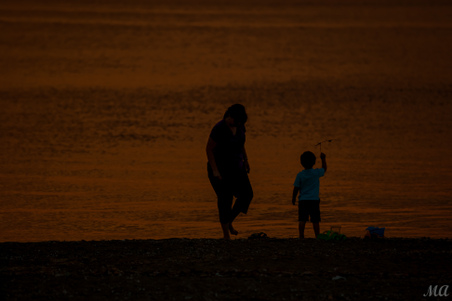 Enlarge photo 84