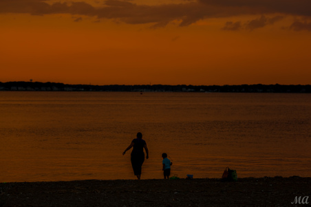 Enlarge photo 87