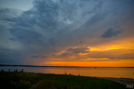 Enlarge photo 91