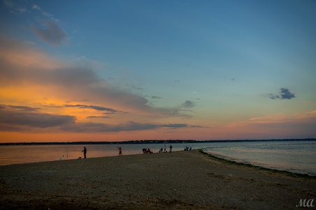 Enlarge photo 96