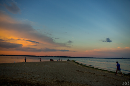 Enlarge photo 97