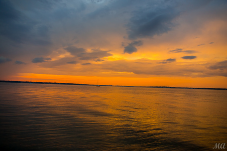 Enlarge photo 100
