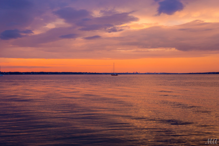 Enlarge photo 102