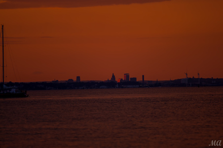 Enlarge photo 105