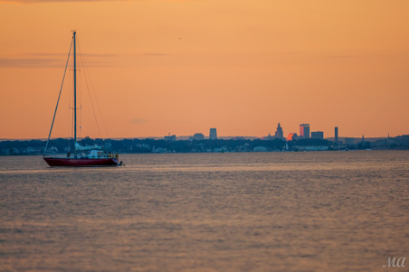 Enlarge photo 106