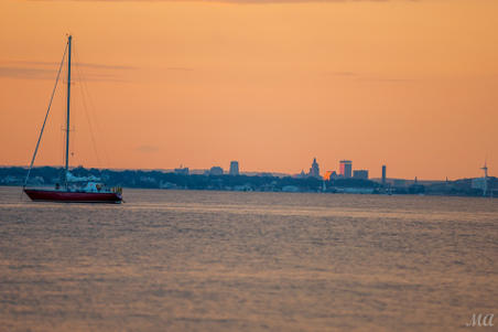 Enlarge photo 107