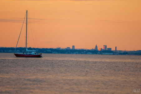 Enlarge photo 108