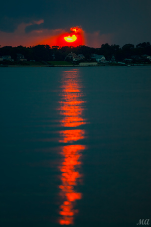 Enlarge photo 112