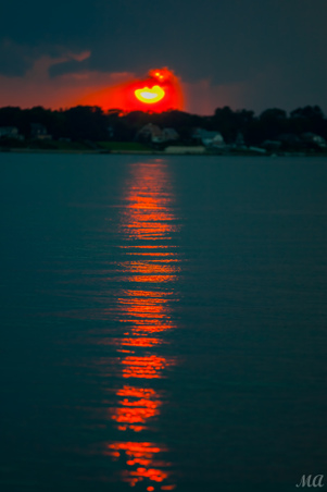 Enlarge photo 113