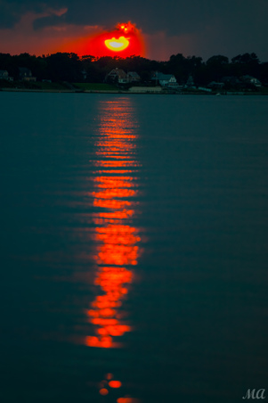 Enlarge photo 114
