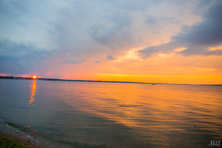 Enlarge photo 119
