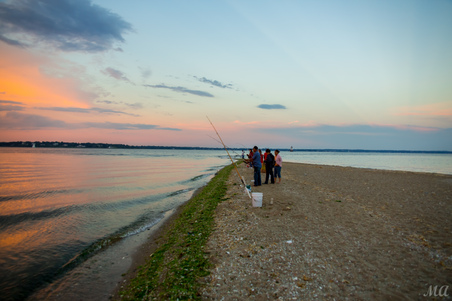 Enlarge photo 143
