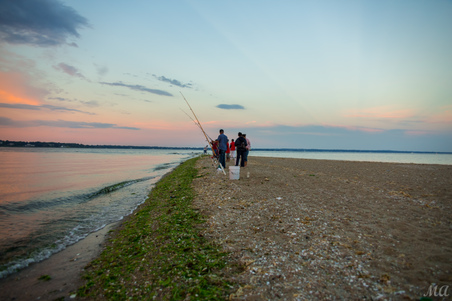 Enlarge photo 144
