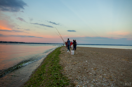 Enlarge photo 145