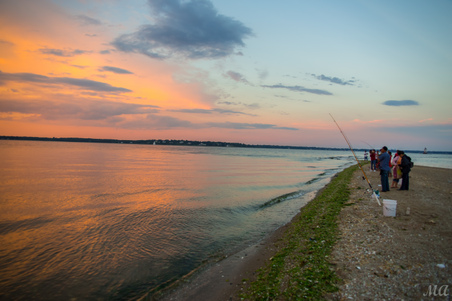 Enlarge photo 147