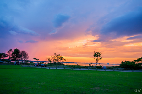 Enlarge photo 156