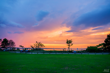 Enlarge photo 157