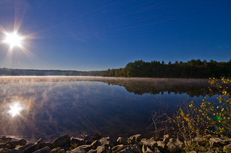 Enlarge photo 28