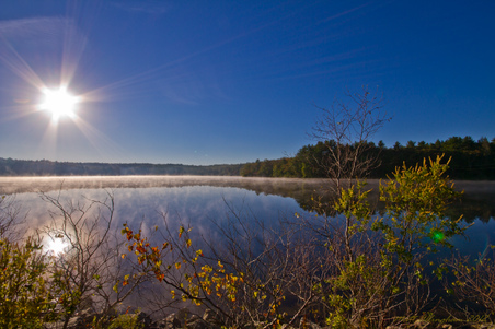 Enlarge photo 30
