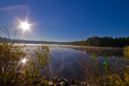 Enlarge photo 31