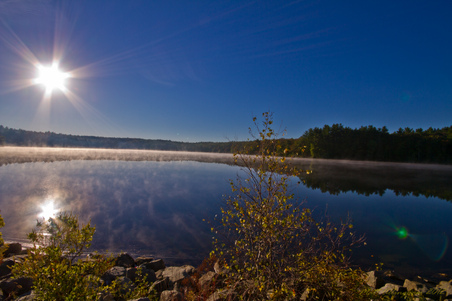 Enlarge photo 35