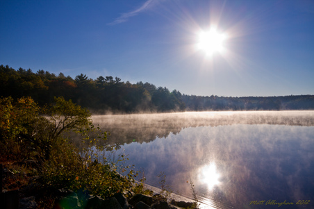 Enlarge photo 39