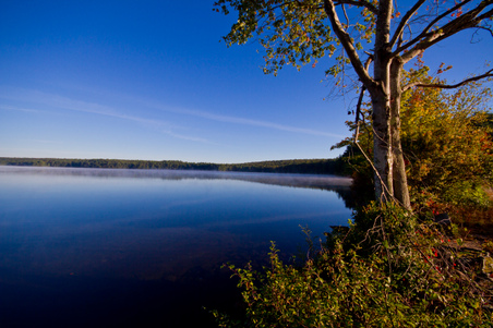 Enlarge photo 41