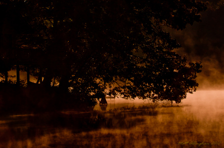Enlarge photo 48