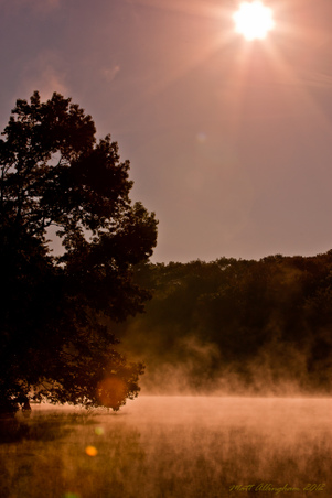 Enlarge photo 51