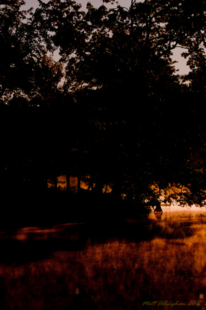 Enlarge photo 55