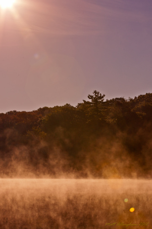 Enlarge photo 56