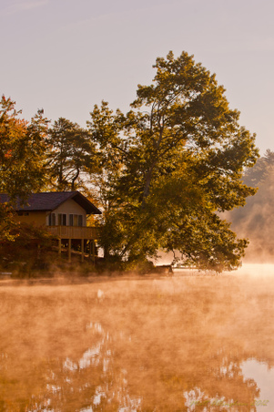 Enlarge photo 61