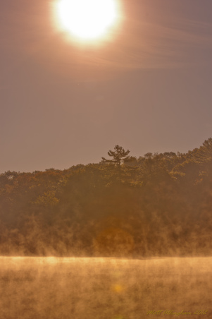 Enlarge photo 65