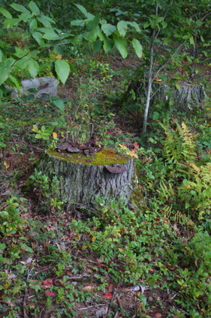 Enlarge photo 20