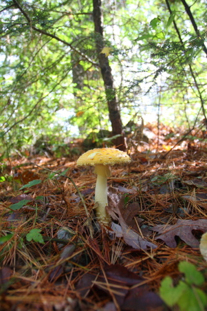 Enlarge photo 22