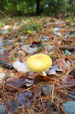 Enlarge photo 24