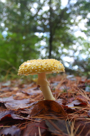 Enlarge photo 31